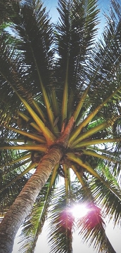 Hotel, restaurant, bar, kuching, Sarawak