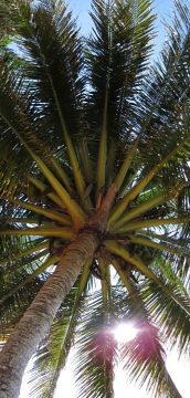 アクアベースのパートナーサイトリンク