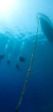 DIVE DIVE DIVE in Kuching:s Shipwreck